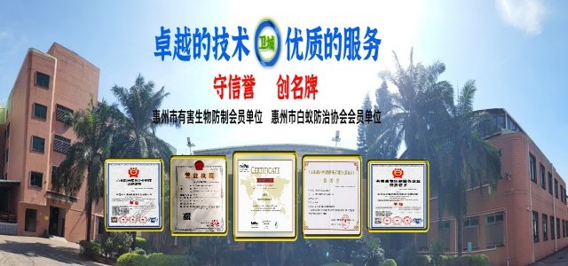 白蚁防治