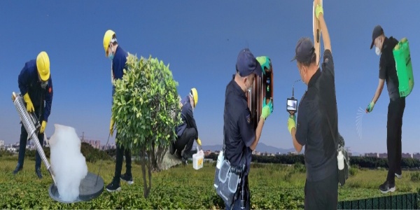 灭白蚁